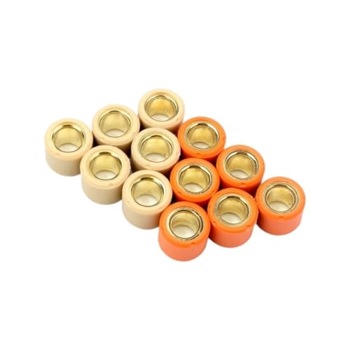 Rouleau de variateur 16x13mm calibré 8g pour réparer la transmission P50