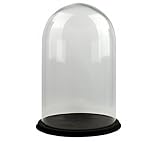 EMH Transparente runde Glaskuppel mit schwarzem Vintage-Holzsockel, H: 50,5 x 30 cm