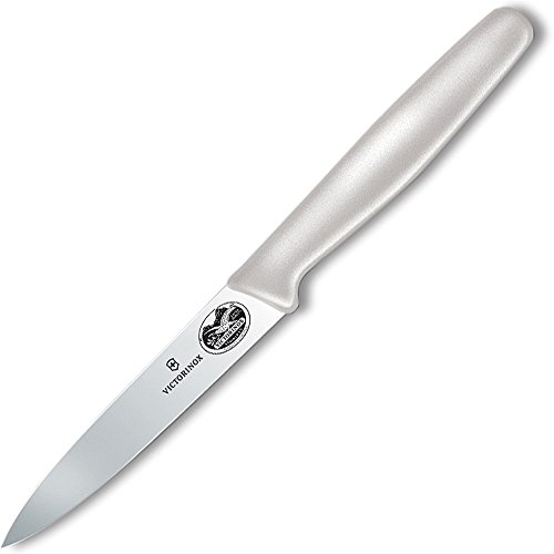 Victorinox Vn40809 Fixed Blade, Knife,Hunting,Camping,Outdoor #TOP15