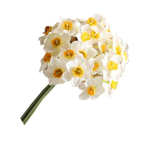 Veemoon 1 ?^ԑ ʐ^Bep AȔV~[Vt[  ƂItBX ̉ԏ