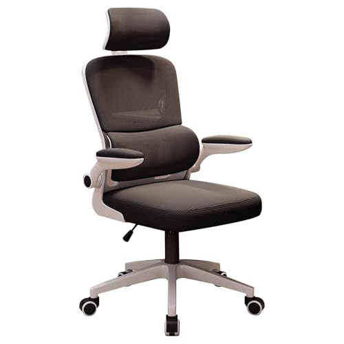 LYXXJRYBHD Silla Ergonomica Escritorio con Soporte Lumbar, Silla Ordenador con Reposabrazos, Sillas de Escritorio de Computadora con Respaldo Alto de Malla para El Hogar y la Oficina(Multi-Colored)