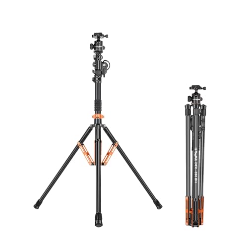 Image of Digitek (DTR 830BH) 8.26ft Aluminum Light Stand Cum Tripod, 5Kg Max Load, 360 Adjustment, Ball Head, 4-Section, Overhead Shooting, 1 /4 & 3 /8 Screws, Cameras & Video Lights Compatible, for Photography