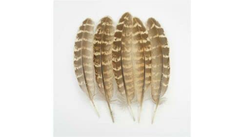 HoitoDeals 20Pcs Natural Small Pheasant Feathers for Clothes Peacock Feather Natural Feathers for Crafts Wedding Carnaval Assesoires 10-15cm