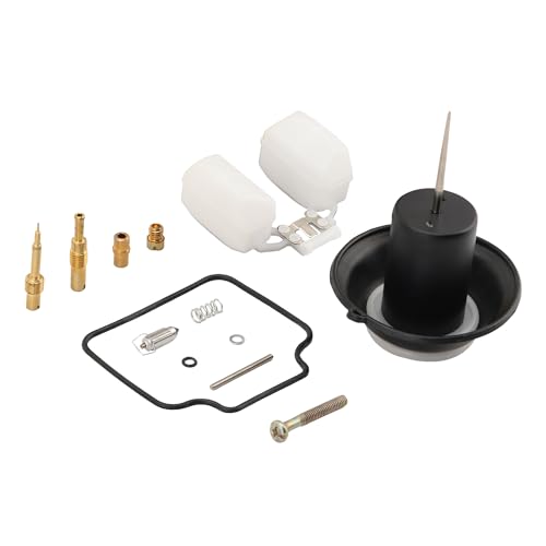 GOOFIT 30mm Carburetor Repair Kits Replacement for Helix CN250 Elite CH250 Baja Roketa 250 Water-Cooled 250cc ATV Scooter