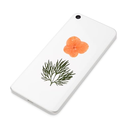 Flores Secas Prensadas Naranja para Manualidades miniatura 1
