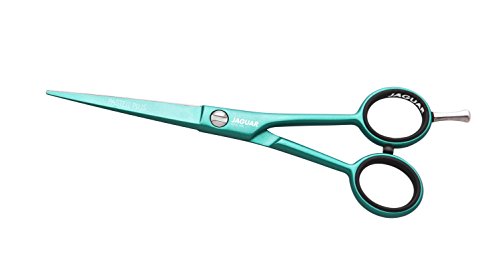 Jaguar White Line Pastel Plus Classic Hairdressing Scissors, 5.5-Inch Length, Mint, 0.03402 kg, 4030363123098