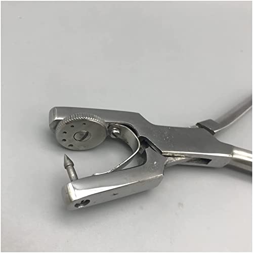 Dental Endodontic Rubber Dam Kit - Set completo di pratica con modello di denti per esami dentali e procedure