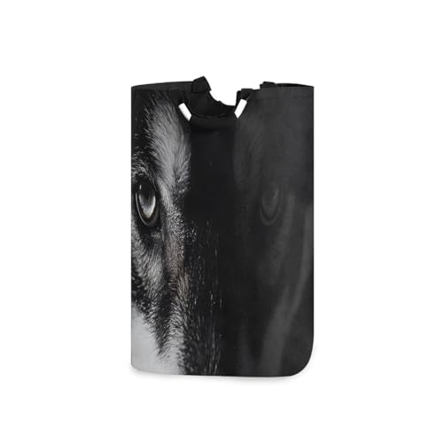 Jihqo Laundry Hamper Basket Wild Wolf Portrait Collapsible Nursery Storage Bin Waterproof Clothing Baskets for Home Bedroom Bathroom Washing Room