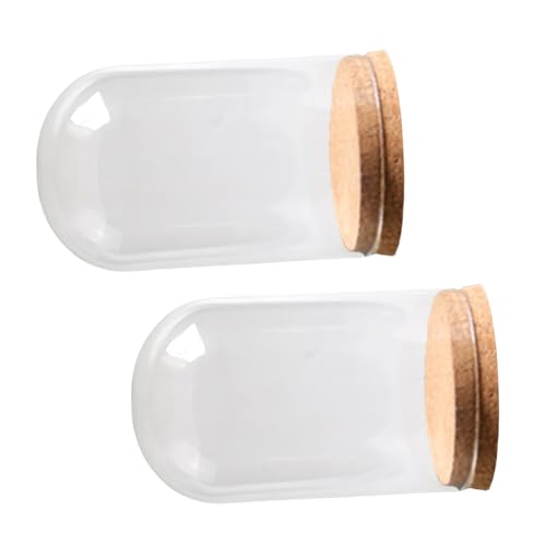 Morain Lot de 2 cloches en verre avec base en liège pour décoration et terrariums