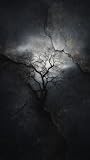 immagine banner Amazon