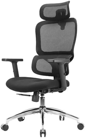 SIHOO M56C Ergonomic Office Chair, High Back Desk Chair, Lumbar S...