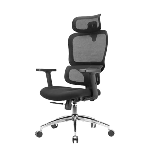 SIHOO M56C Ergonomic Office Chair, High Back Desk Chair, Lumbar Support, Swivel Computer Task Chair with Adjustable Headrest, Tilt Function,Black