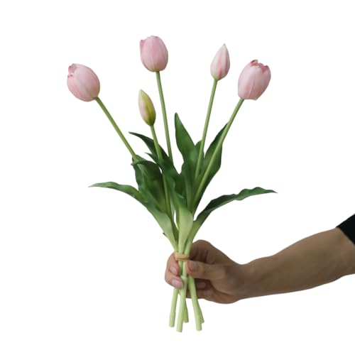 yo[ZNgfp[gz A[gt[ 5s[X ԑ `[bv Ƃ̑  _CjOe[ȗ Mtg ̓̃Mtg 킢 rO  sN [sAi]