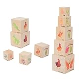 Wooden Life Cycle Nesting Blocks, Sorting & Stacking Montessori Toys for Kids, Preschool Educational Learning Cube Boxes for Toddlers 3+, Science Toy Set for Baby Boys & Girls (5 Pcs)