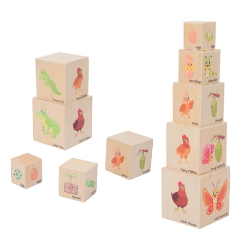 Wooden Life Cycle Nesting Blocks Montessori Toys (5-Pc)