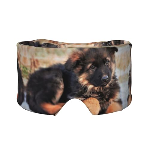 킢W[}VFp[hqvgX[v}XNYfB[X\tgACJo[AhX[vC[}twbhohsAQp