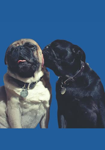 Pugs: Notebook Journal Diary Planner for Notes School Hobbies Work Creativity Drawing Writing Gifts for Everyone image 2