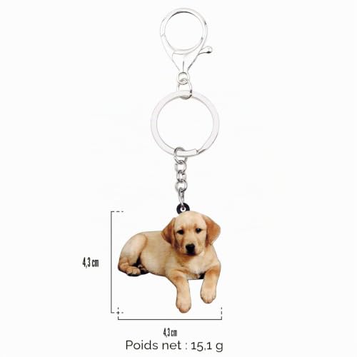 WEVENI Porte-clés Labrador Retriever Cadeau pour Amoureux des Pet，Marron – vue 6