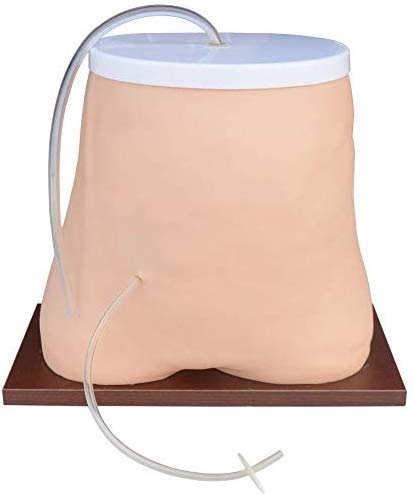 Modèle Anatomique De l'abdomen, Modèle De Soins Humains pour La Dialyse Péritonéale, Modèle D'Enseignement en Formation Médicale