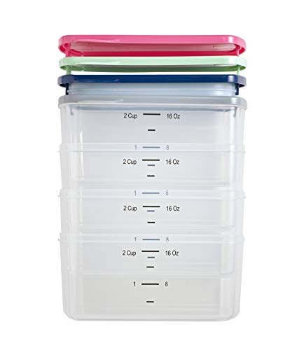 Fit & Fresh Small Plastic Containers With Lids 16 oz, Small Snack Containers With Lids For Adults and Kids, Reusable Leakproof Dressing and Condiment Containers With Two Attachable Ice Packs, 4PK, Light