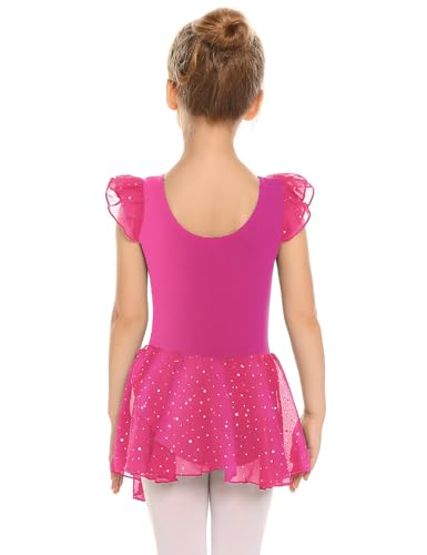 Image of Arshiner Girls Ruffle Sleeve Ballet Dance Dress Tutu Skirted Leotard