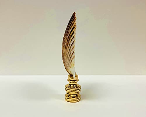 Image of Lamp Finial-SEA Scallop Shell-Natural sea Scallop Shell with Antique Brass or Polished Brass Base (1-pc.) (Polished Brass)
