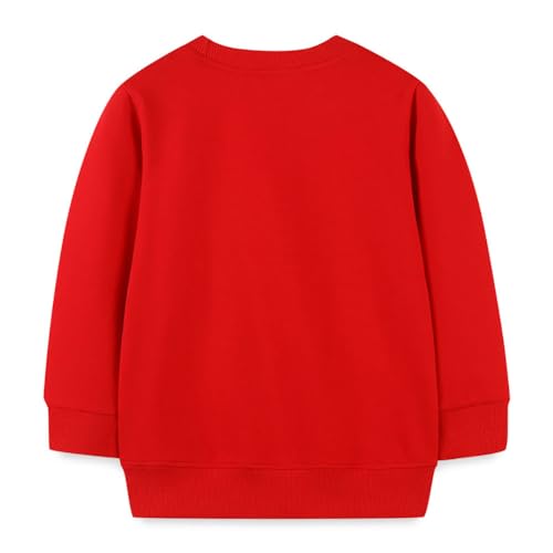 Boys Sweatshirts Long Sleeve Sweatshirts T-shirts Crew Neck Cotton Casual Sweatshirts Cartoon Tops for Boys-152
