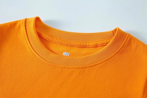 Cadidi Dinos Boys Short Sleeve Shirt Kids Crewneck T-Shirts Top Girls Tee3