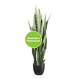 CREATIV green