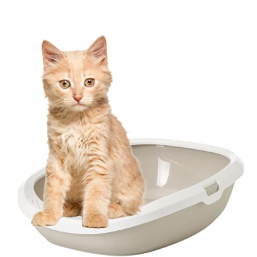 Image of Savic Gizmo Medium Cat Litter Tray with Rim for Indoor Cats, Open Anti-Scatter Cat Toilet Box with Raised Rim for Hygiene & Easy Cleaning, Durable Pet Litter Tray - 17 Inch Mocha