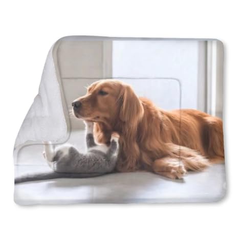 Customize Your Pattern Dog Thermal mat (22 * 28in) self-Heating pet mat Super Soft hot Dog pad Washable Non-Slip self-Heating cat pad