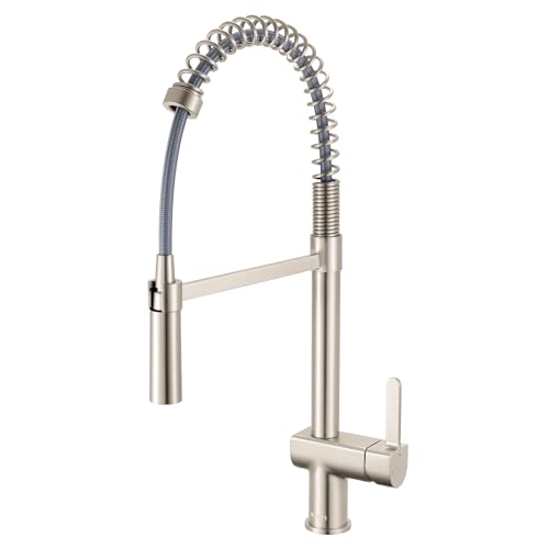 Ruvati Seneca Pull Down Faucet