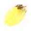 #11 Yellow