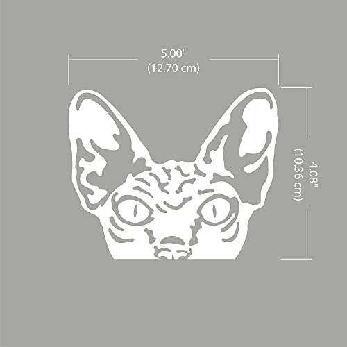 Image of WIRESTER 6 inch Clear Vinyl Decal Sticker Decoration for Car Window (Or Any Flat Surface) - Wrinkled Skin Sphynx