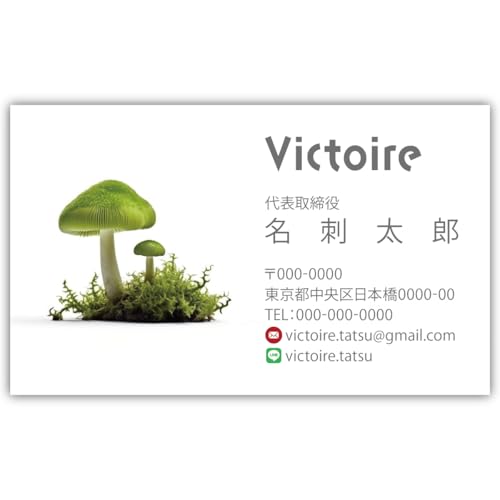 h쐬 h i 100 Ж tJ[ P[Xt No.1946