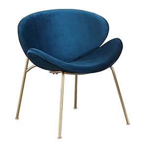 Chair The Comfy Chairs for Dining Room Home & Kitchen Dining roomchairs Modern Dining Chairs mid Century Dining Chair for Restaurants Cafes Set