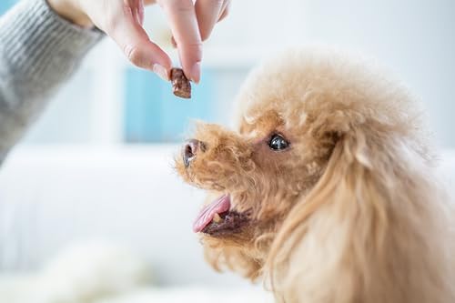 Trade Teamwork® hypoallergenes, getreidefreies Fenchel & Anis Leckerli - Für Hunde 250g Snack, Kekse/Hergestellt in Österreich