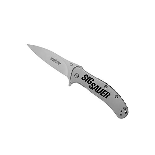 Kershaw Zing SS Pocketknife,...