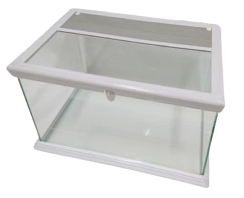 Amazon | 爬虫類飼育ケージ ホワイト SN 45 × 30 × 23cm レイアウト