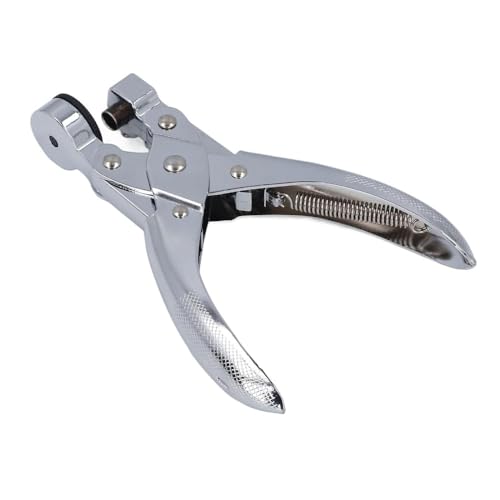 Riazdiwrj[܌p`[ hK ȒP tBp` y (6mm)