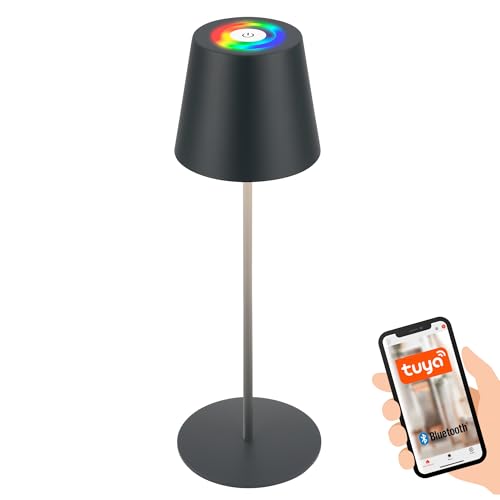 BRILONER - Lampada da tavolo a LED Smart wireless con controllo tramite app, dimmerabile, RGB+W, lampada da comodino, lampada ricaricabile, lampada da esterno, 10,5x36 cm (LxA), antracite