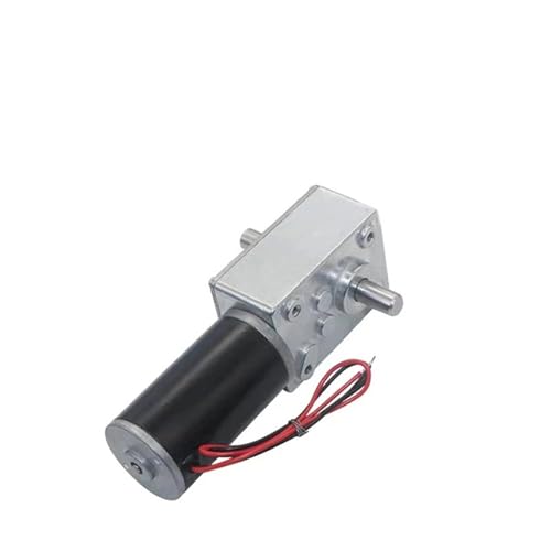 Moteur à engrenage à vis sans fin pour automatisation et levage lourd double arbre 24V