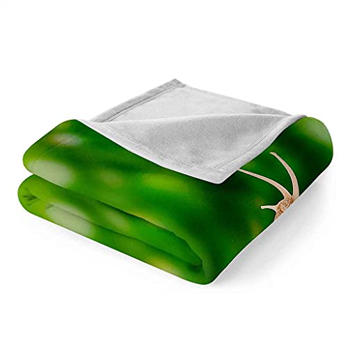 Couverture flanelle microfibre chaude impression 3D camouflage
