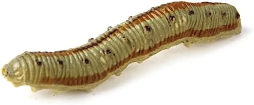 AKORD Plastic Twisty Worm Educational Party Favours Tricks Pack of 12 Multi-colour - Image 5