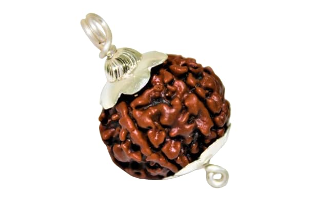 5 Mukhi Rudraksha Original Certified Pendant कालाग्नि रुद्र 5 मुखी रुद्राक्ष Panchmukhi Rudraksha Nepali 5 Face Rudraksha Original Nepal Five Mukhi Rudraksha 5 Mukhi Rudraksha By RudraGallery (B0CTKMQDJR) Amazon Price History, Amazon Price Tracker