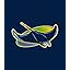 Tampa Bay Rays