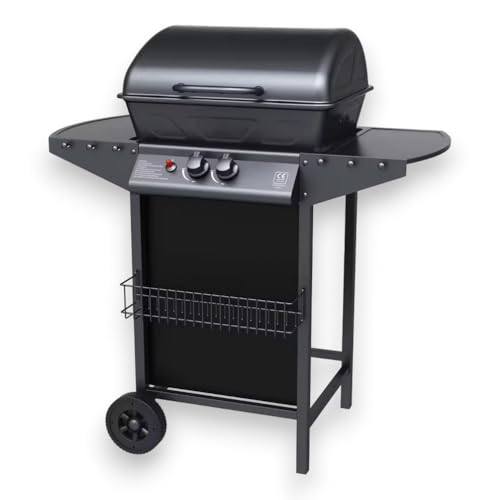 Barbecue à gaz 2 brûleurs avec pierre de lave pour l'extérieur