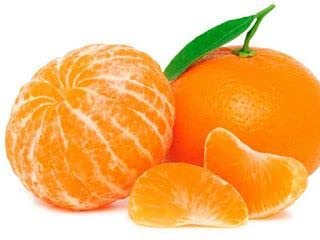 Image of Nagpur Mandarin Orange All Time Variety Grafted Fruit Hybrid Plants CF004927
