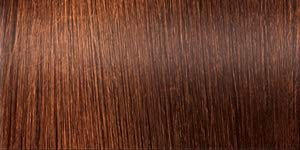 Salon In A Bottle Powder - Root Touch Up, Instantly Covers Gray Roots And Thinning Hair, Auburn #TOP1