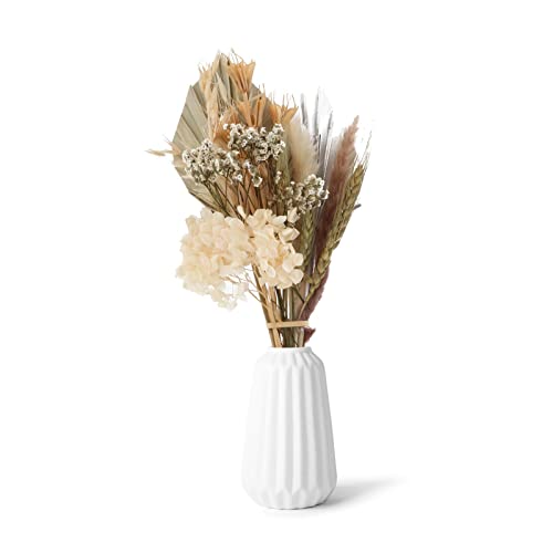 Gazechimp Decoração De Flores Secas, Arranjos De Folhas E Plantas Para Decoração Vaso De Decoração D